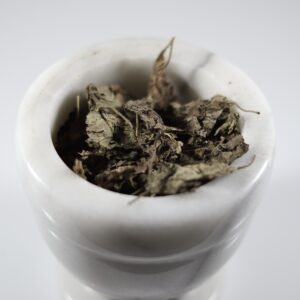 Patchouli Leaf 2oz ( Pogostemon Cablin)